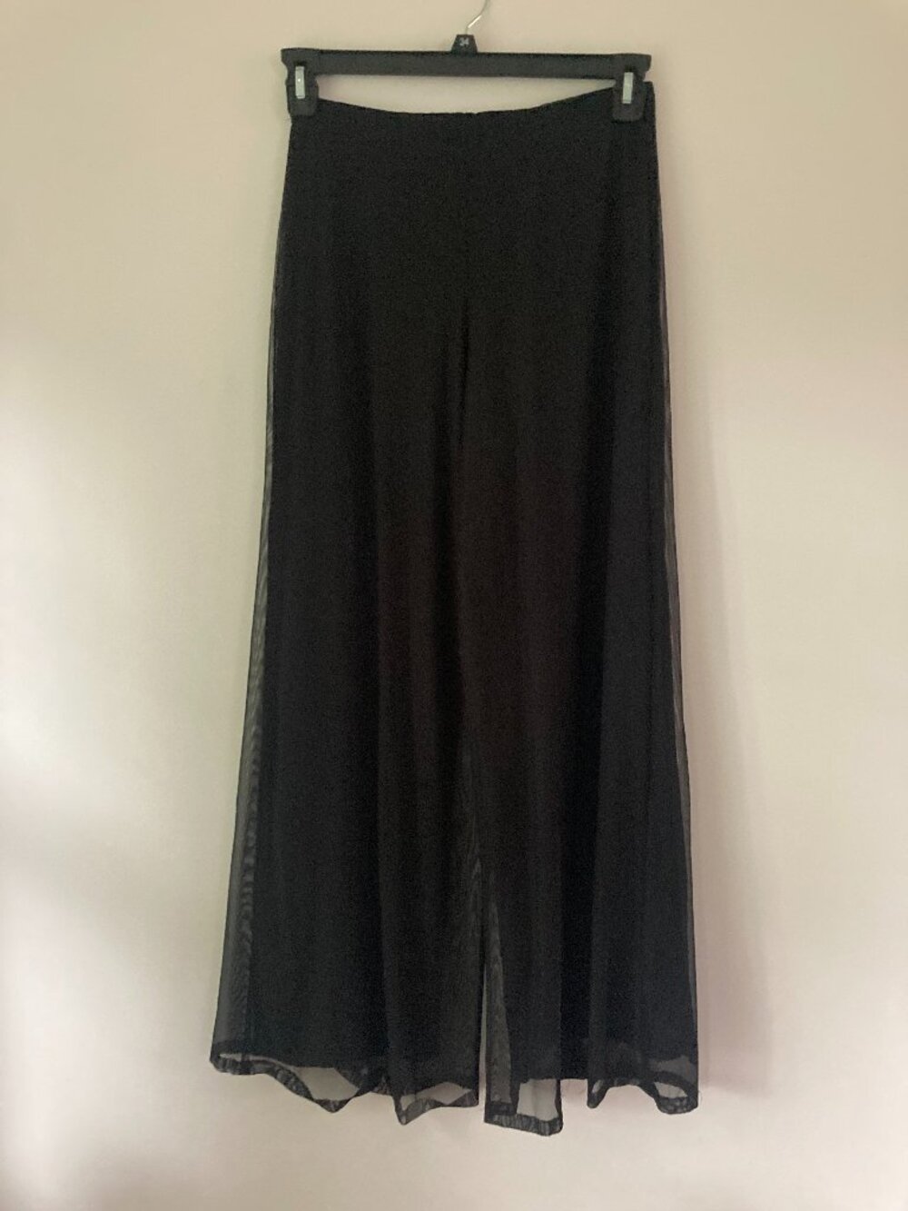 Mesh Wide-Leg Pants - Picture 1 of 5